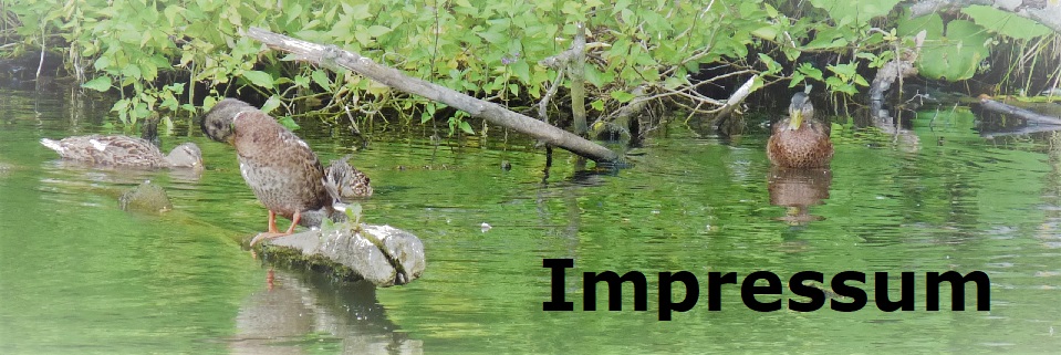 Impressum